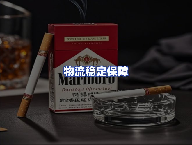 专业团队